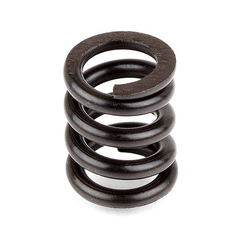 B44 Slipper Spring, ASC-9739