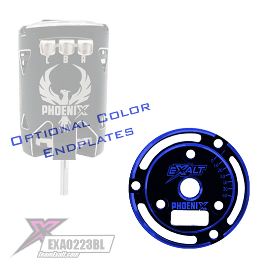 Team Exalt Black Phoenix Endplate w/ Colored Chamfered Edges, EXA0233