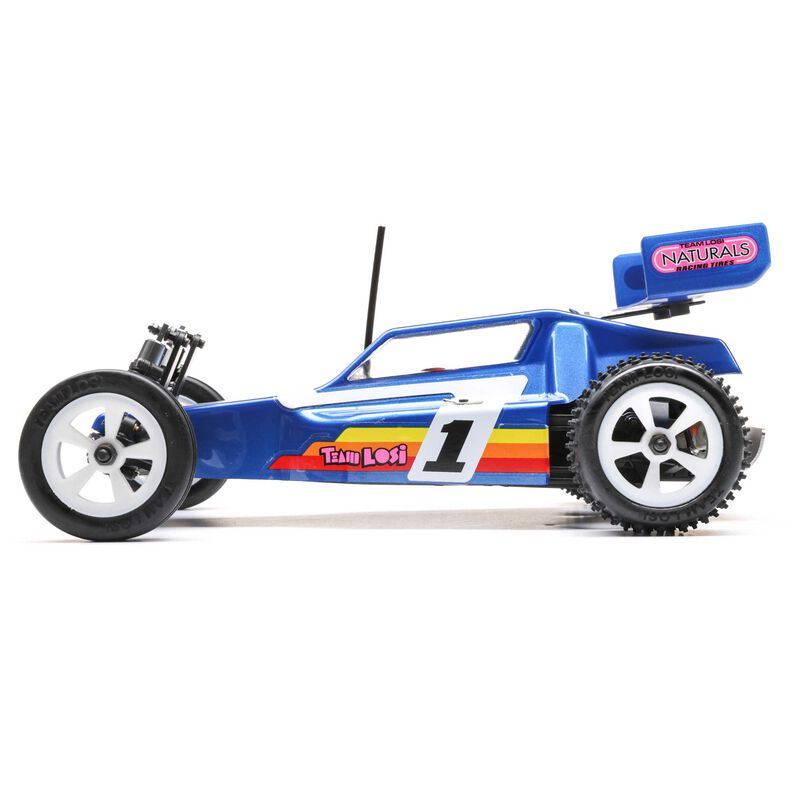 Team Losi 1/16 Mini JRX2 2WD Buggy Brushed RTR, Blue