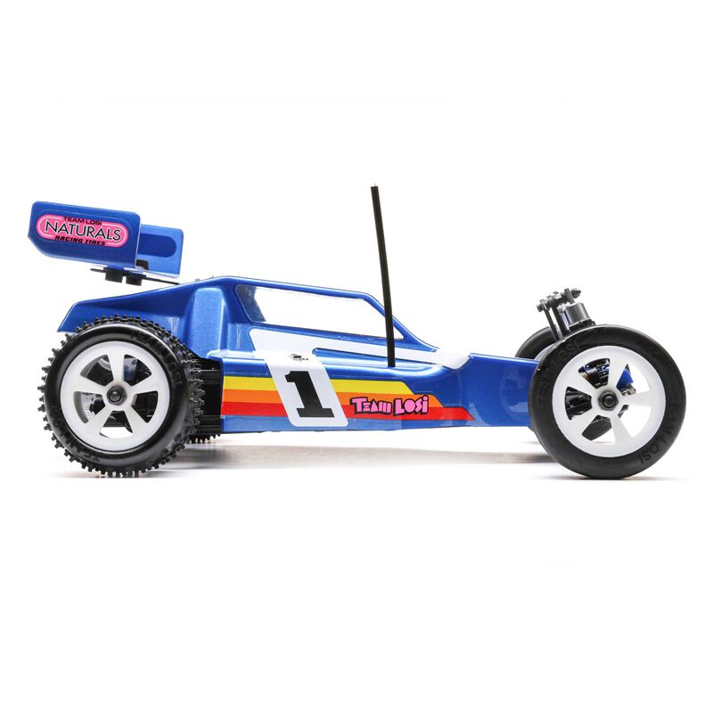 Team Losi 1/16 Mini JRX2 2WD Buggy Brushed RTR, Blue