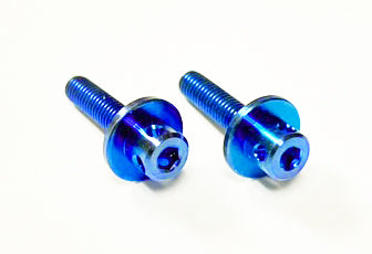 Titanium Wing Mount Bolts (2)