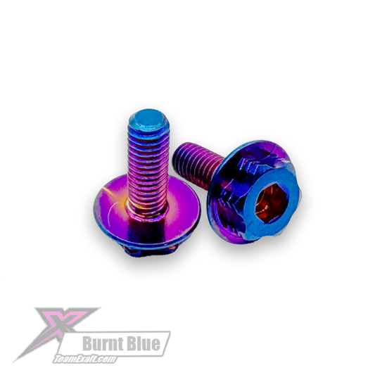 Team Exalt "Surelock" Burnt Blue Titanium 2 in 1 Motor Screw Kit (2), EXAB3x6