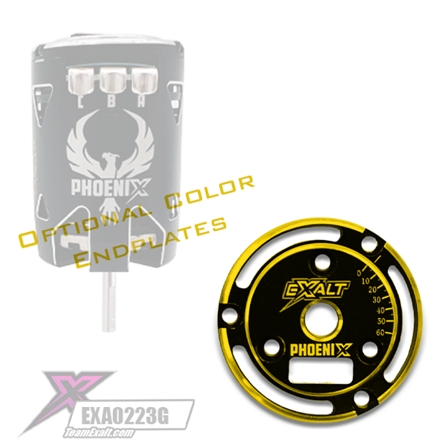 Team Exalt Black Phoenix Endplate w/ Colored Chamfered Edges, EXA0233