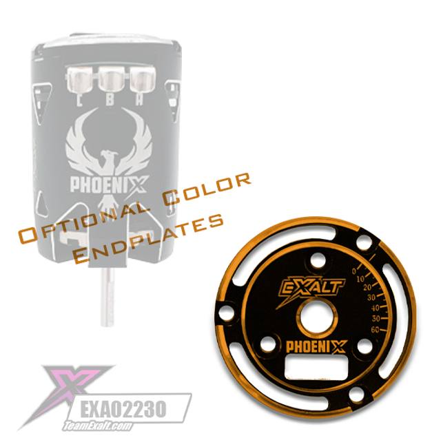 Team Exalt Black Phoenix Endplate w/ Colored Chamfered Edges, EXA0233