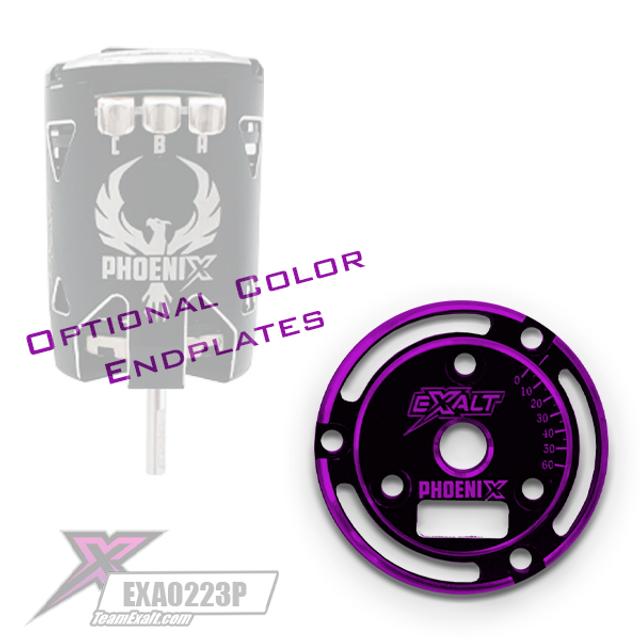 Team Exalt Black Phoenix Endplate w/ Colored Chamfered Edges, EXA0233