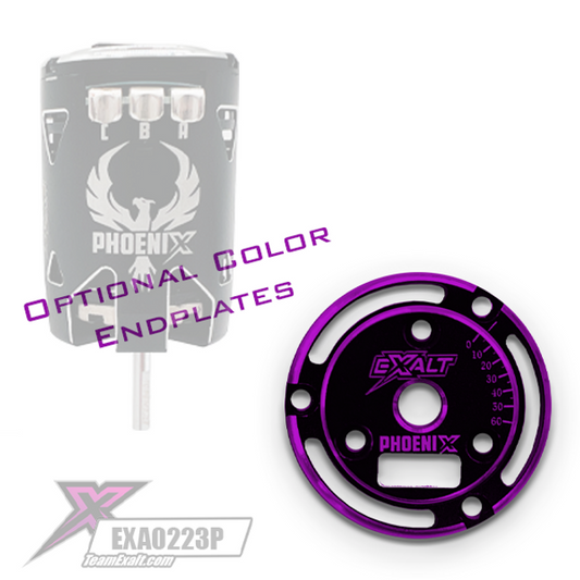 Team Exalt Black Phoenix Endplate w/ Colored Chamfered Edges, EXA0233