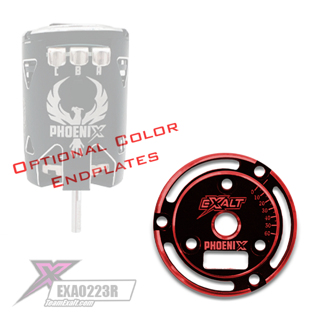Team Exalt Black Phoenix Endplate w/ Colored Chamfered Edges, EXA0233