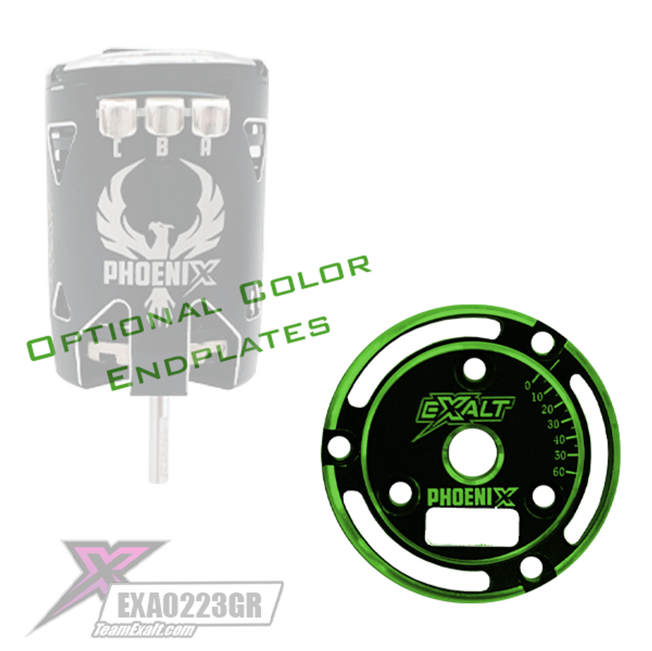 Team Exalt Black Phoenix Endplate w/ Colored Chamfered Edges, EXA0233