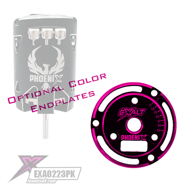 Team Exalt Black Phoenix Endplate w/ Colored Chamfered Edges, EXA0233