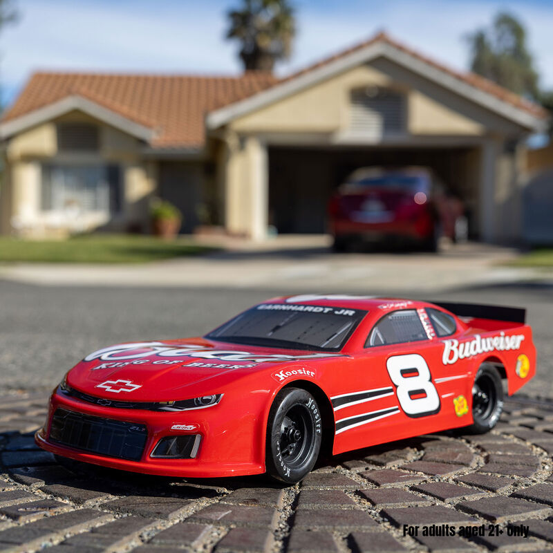 Team Losi 1/12 Asphalt Late Model RC Race Car Dale Earnhardt Jr. No. 8 2025 Budweiser Chevrolet ZL1 2S AWD On-Road, LOS-3104T2