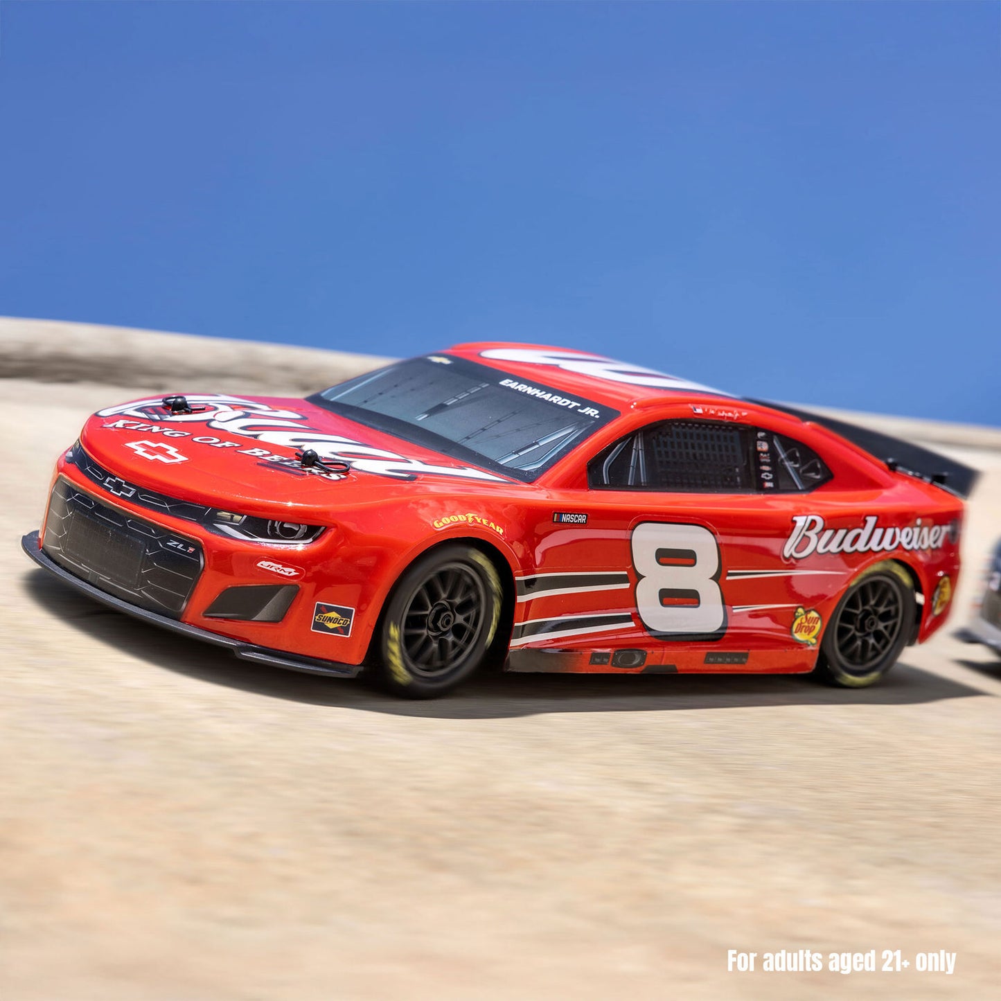 Team Losi 1/12 Losi NASCAR Dale Earnhardt Jr. No. 8 Budweiser (Battery & Charger Included), LOSF1122508