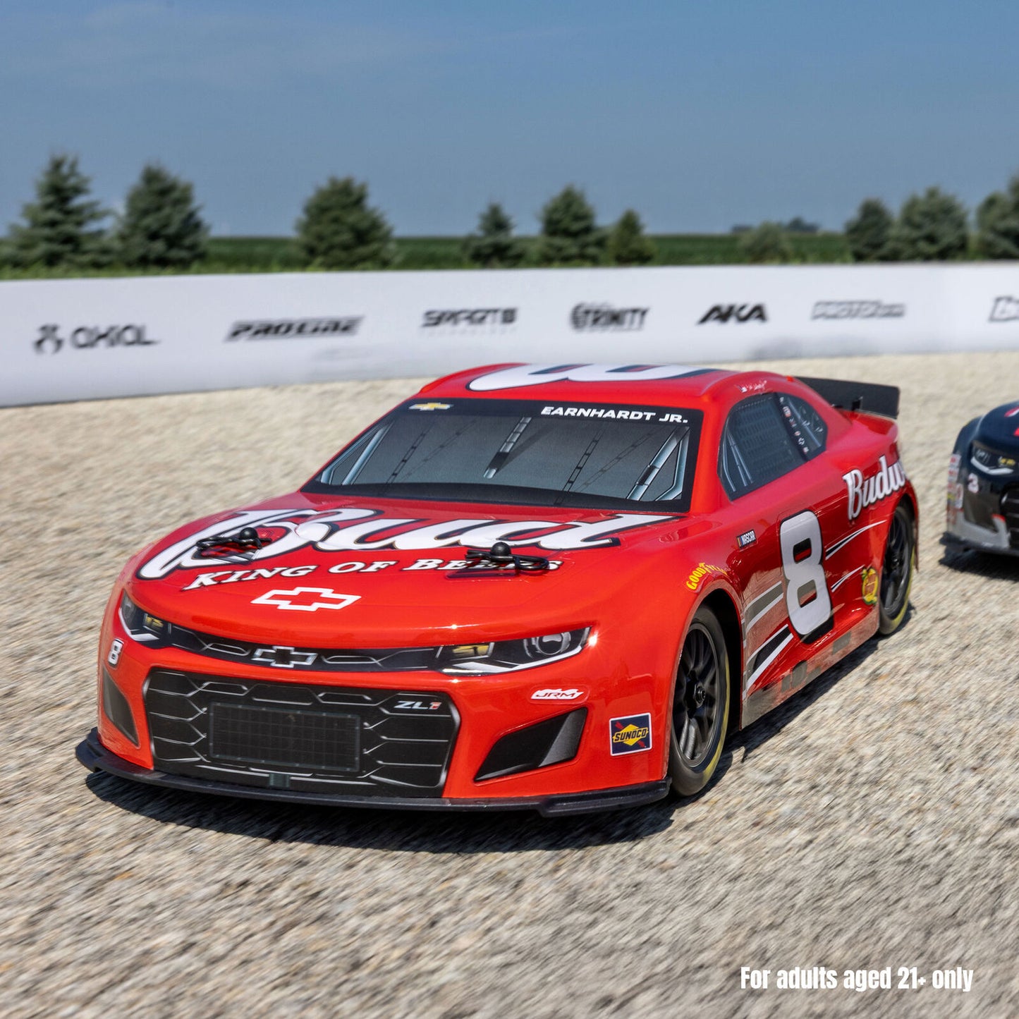 Team Losi 1/12 Losi NASCAR Dale Earnhardt Jr. No. 8 Budweiser (Battery & Charger Included), LOSF1122508