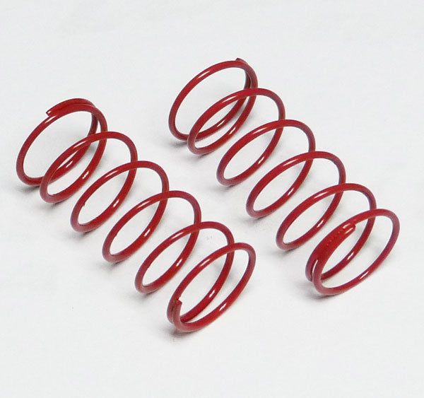 Custom Works RC Big Bore Springs