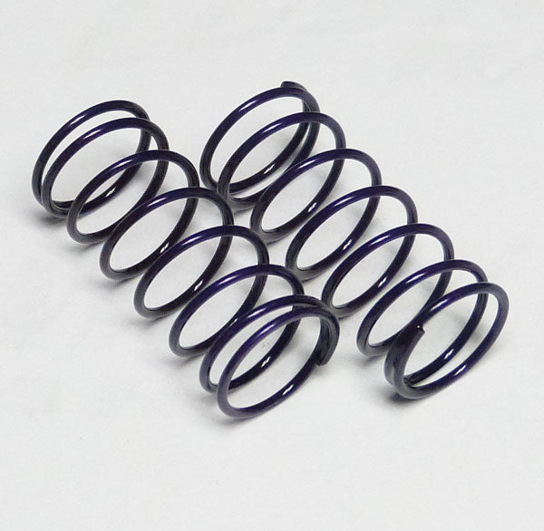 Custom Works RC Big Bore Springs