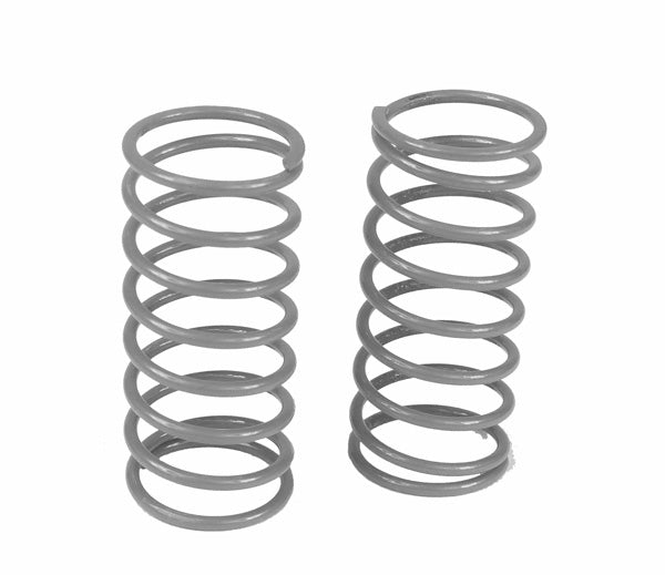 Custom Works RC Big Bore Springs