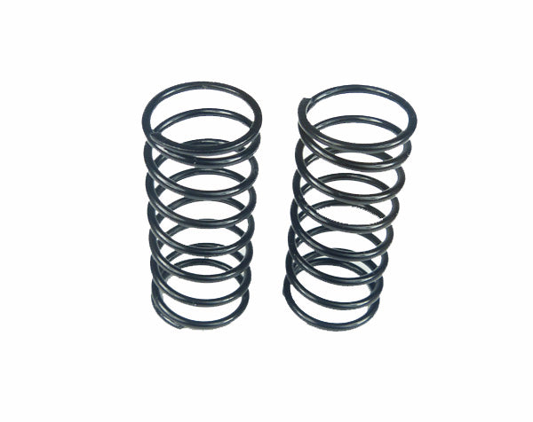 Custom Works RC Big Bore Springs