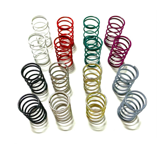 1.1 Dirt Oval Spring Kit GFR-1500