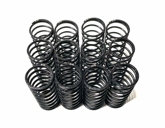 Team GFRP Big Bore Rated Springs